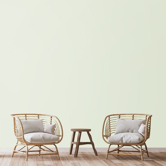 SHADE-X PLASTIC EMULSION , WASHABLE PAINT FOR INTERIOR WALLS